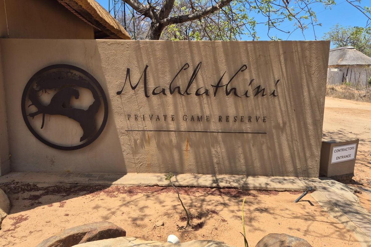 Spacious modern house surrounded by Big5 in the Mahlathini Private Game Reserve, Phalaborwa, RSA - Photo 4