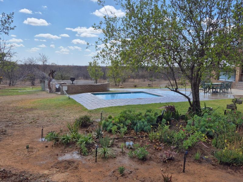 Spacious modern house surrounded by Big5 in the Mahlathini Private Game Reserve, Phalaborwa, RSA - Photo 9