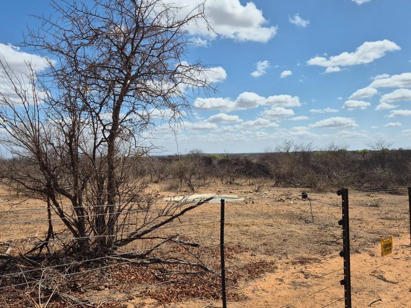 Spacious modern house surrounded by Big5 in the Mahlathini Private Game Reserve, Phalaborwa, RSA - Photo 6