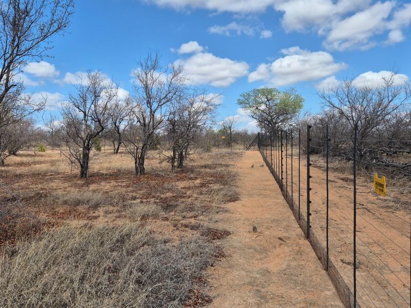 Spacious modern house surrounded by Big5 in the Mahlathini Private Game Reserve, Phalaborwa, RSA - Photo 7