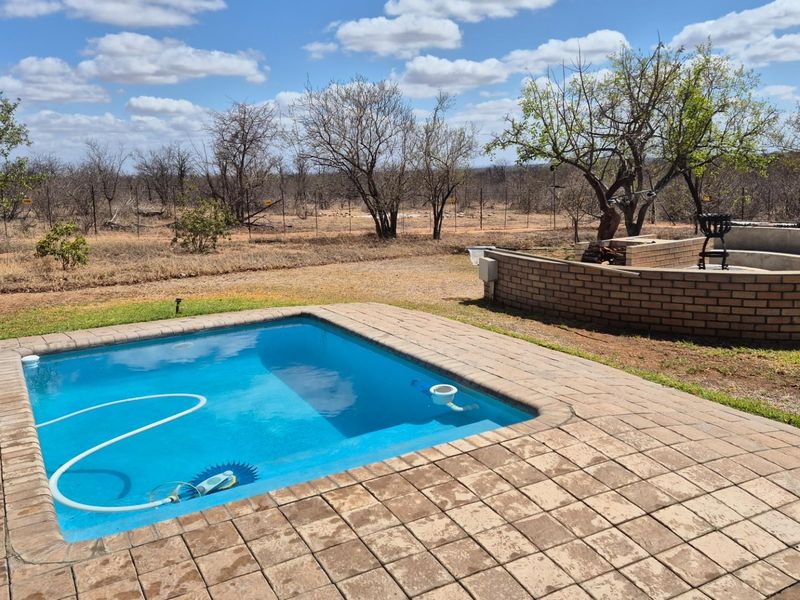Spacious modern house surrounded by Big5 in the Mahlathini Private Game Reserve, Phalaborwa, RSA - Photo 10