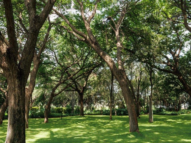 Farm For Sale in Hartbeespoort Rural, Hartbeespoort, North West - Photo 8