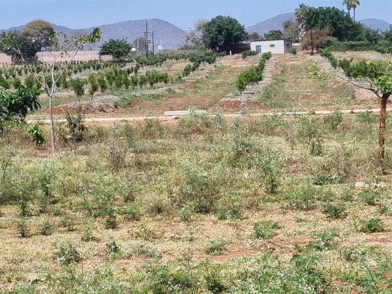 Vacant Land for sale in Malelane - Photo 10