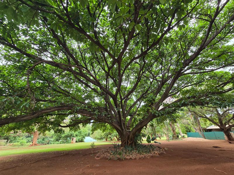 A Symphony of Style - Luxurious Guesthouse, Wedding Venue & Sustainable Lifestyle Estate - Photo 5