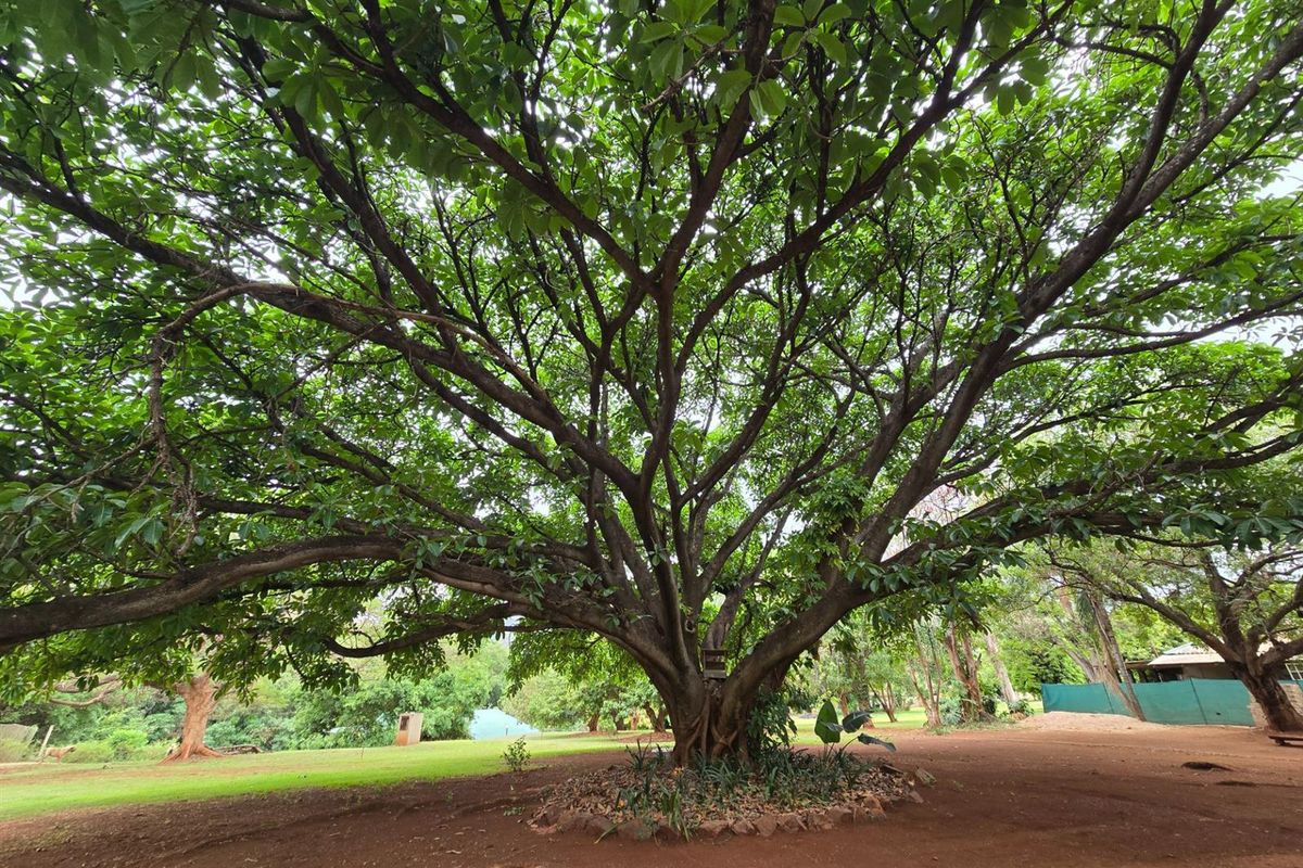 A Symphony of Style - Luxurious Guesthouse, Wedding Venue & Sustainable Lifestyle Estate - Photo 5