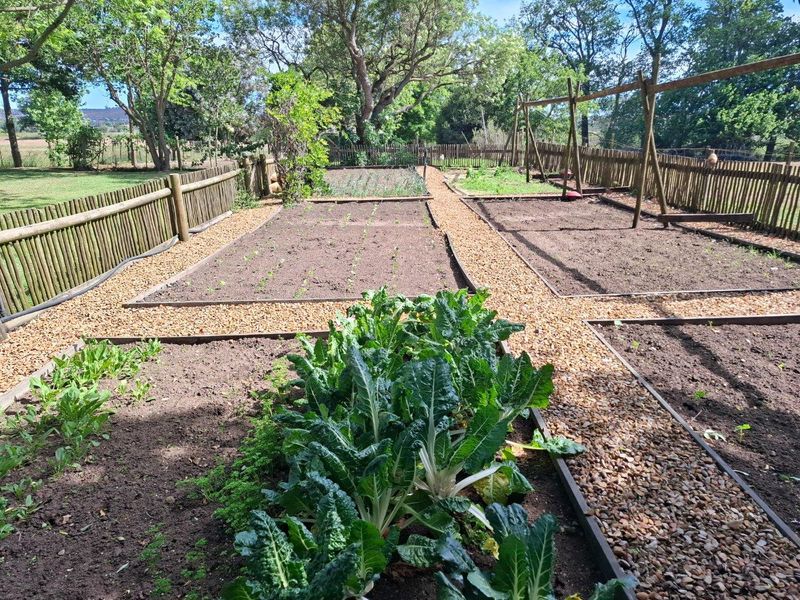 A well-maintained vegetable garden featuring raised planting beds with gravel pathways and timber fencing, set within a lush farm landscape.