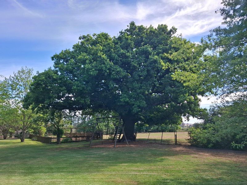 A spacious, well-maintained garden area featuring a large, mature oak tree and established lawn, providing a serene outdoor setting on the farm property.