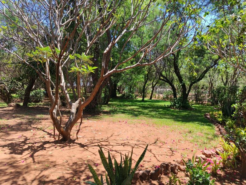 Beautiful 13.9-hectare smallholding with a 4 bedroom house and two flatlets, Modimolle Limpopo - Photo 6