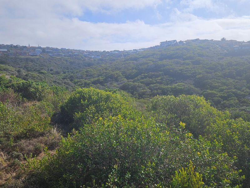 Beautiful Spacious Vacant Land For Sale in Dana Bay, Mossel Bay - Photo 9