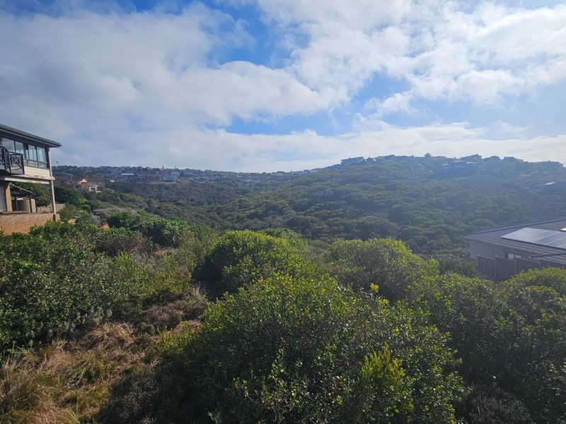 Beautiful Spacious Vacant Land For Sale in Dana Bay, Mossel Bay - Photo 8