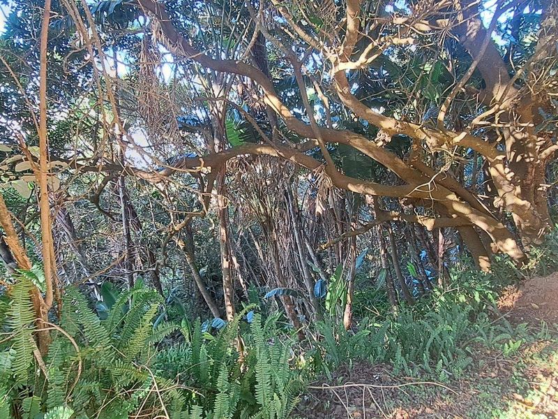 Vacant Land For Sale in Leisure Bay, Port Edward, KwaZulu Natal - Photo 6