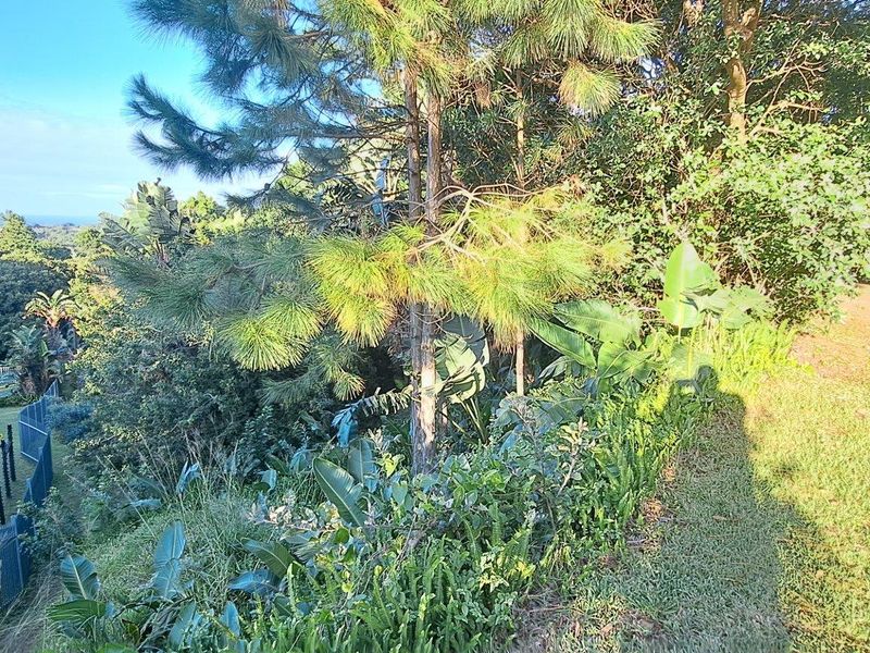 Vacant Land For Sale in Leisure Bay, Port Edward, KwaZulu Natal - Photo 3
