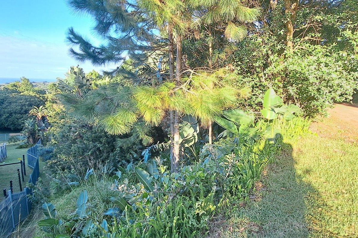 Vacant Land For Sale in Leisure Bay, Port Edward, KwaZulu Natal - Photo 3