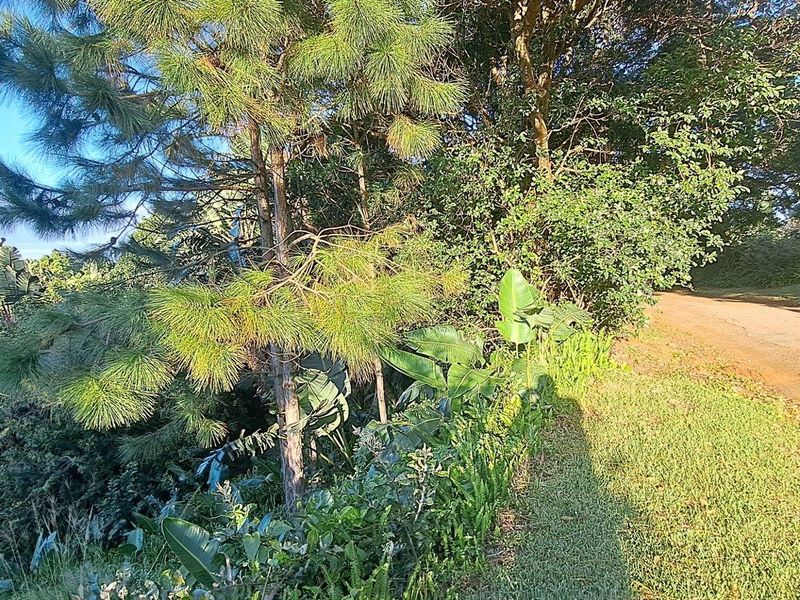 Vacant Land For Sale in Leisure Bay, Port Edward, KwaZulu Natal - Photo 2