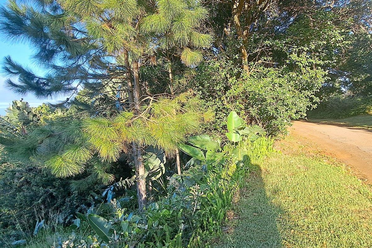 Vacant Land For Sale in Leisure Bay, Port Edward, KwaZulu Natal - Photo 2