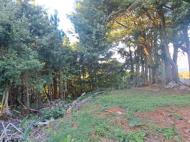 Vacant Land For Sale in Leisure Bay, Port Edward, KwaZulu Natal - Photo 9