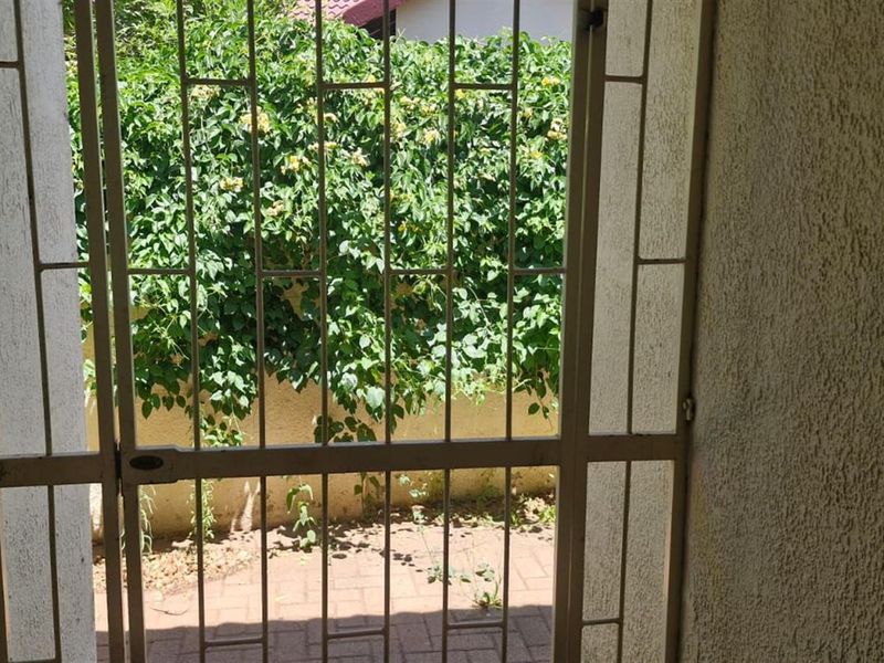 A view through a metal security gate onto a small paved outdoor area with established greenery.