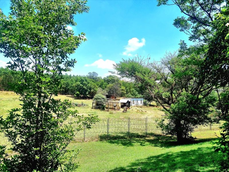 Small Holding For Sale in Rietfontein AH, Pretoria - Photo 2