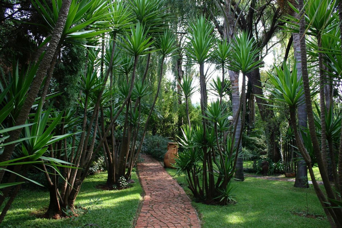 Small Holding For Sale in Rietfontein AH, Pretoria - Photo 3