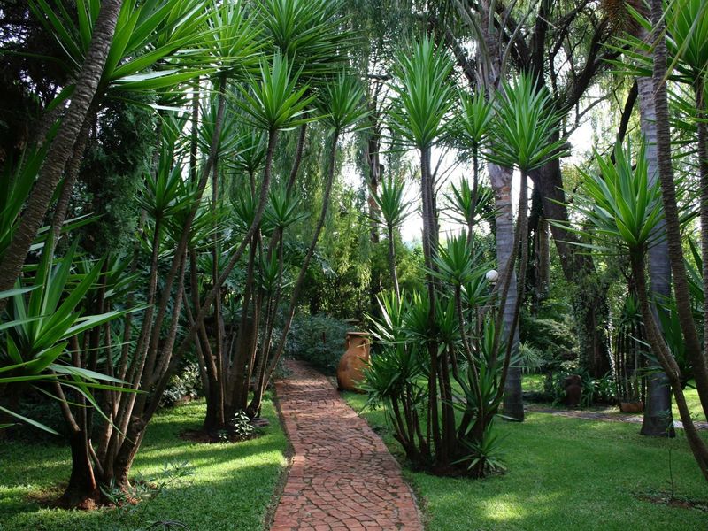 Small Holding For Sale in Rietfontein AH, Pretoria - Photo 3