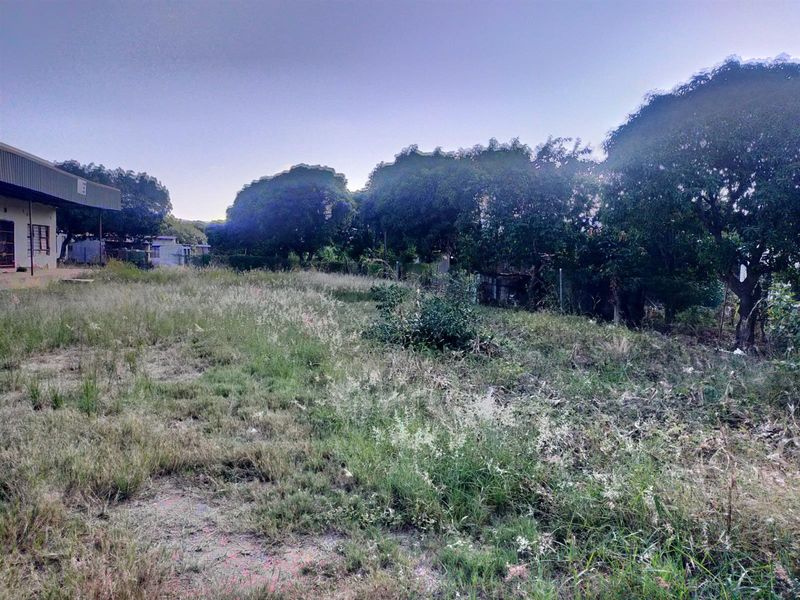 A view of the rear exterior area featuring overgrown grass and mature trees, with a portion of the commercial building structure visible.