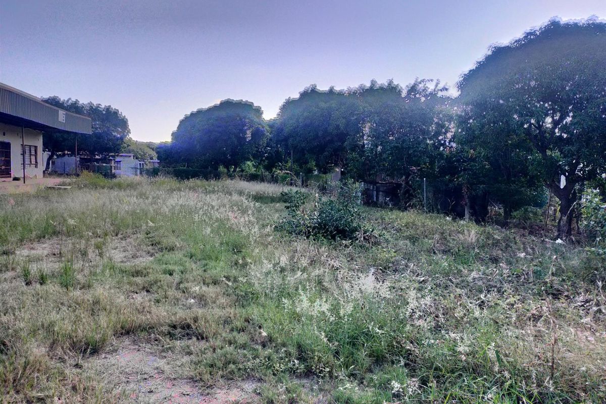 A view of the rear exterior area featuring overgrown grass and mature trees, with a portion of the commercial building structure visible.