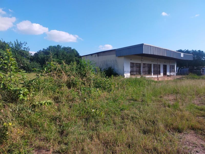 A commercial building exterior featuring a metal roof and covered veranda, set on a large plot with significant overgrown vegetation and weathered exterior finishes.