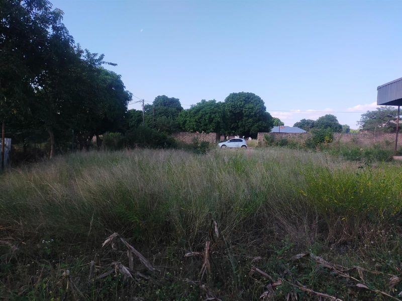 An undeveloped plot of land featuring overgrown grass, mature trees, and a perimeter boundary wall.