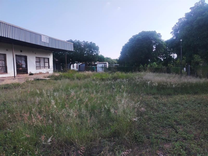 Rear view of a commercial building featuring a metal roof and security bars, set on a large plot with significant overgrown vegetation.
