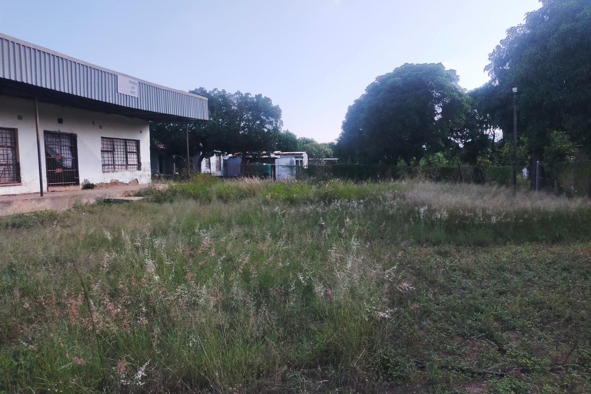 Rear view of a commercial building featuring a metal roof and security bars, set on a large plot with significant overgrown vegetation.