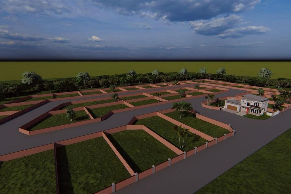 A True Germ New Developments Home - Photo 2