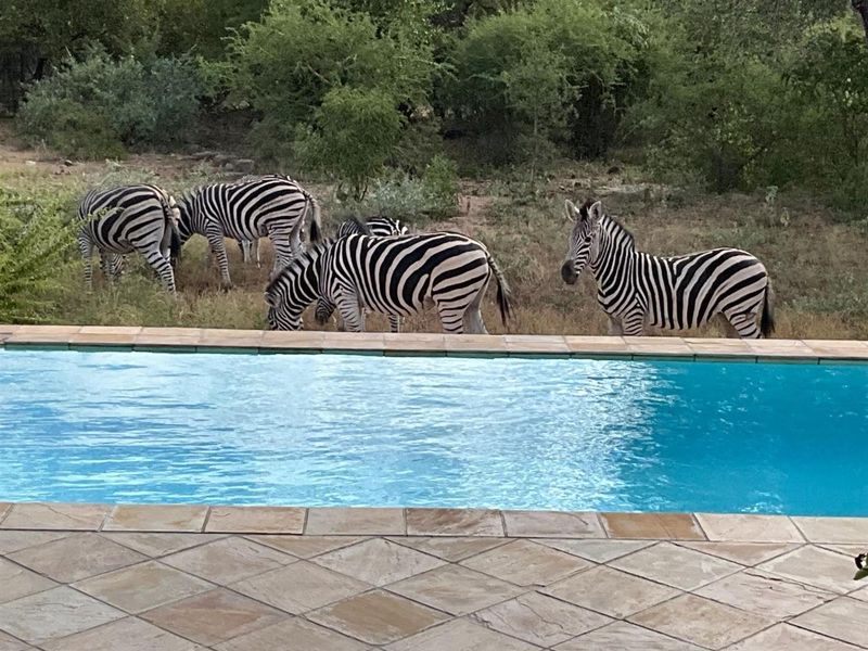 House For Sale in Blyde Wildlife Estate, Hoedspruit - Photo 8