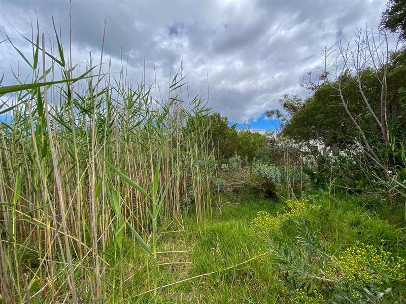 Tranquil Setting, Stunning Scenery - 600m2 Vacant Stand in Betty’s Bay - Photo 6