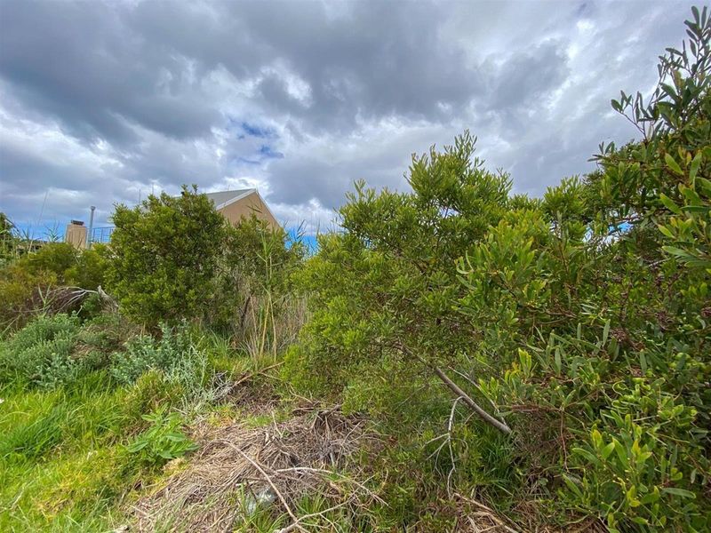 Tranquil Setting, Stunning Scenery - 600m2 Vacant Stand in Betty’s Bay - Photo 10