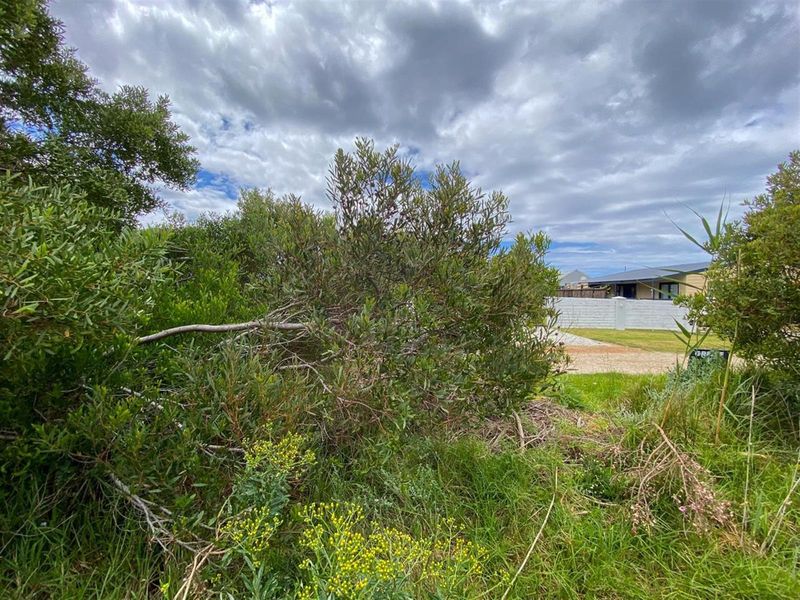 Tranquil Setting, Stunning Scenery - 600m2 Vacant Stand in Betty’s Bay - Photo 8