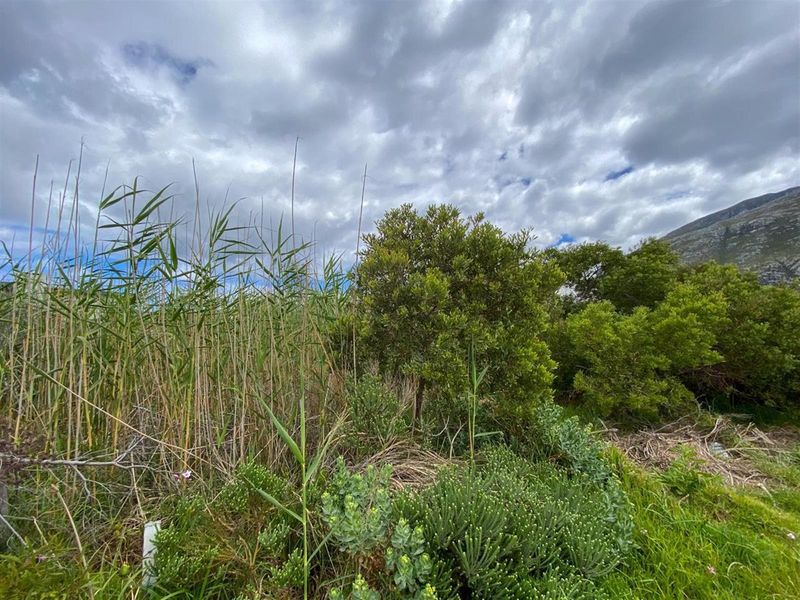 Tranquil Setting, Stunning Scenery - 600m2 Vacant Stand in Betty’s Bay - Photo 3