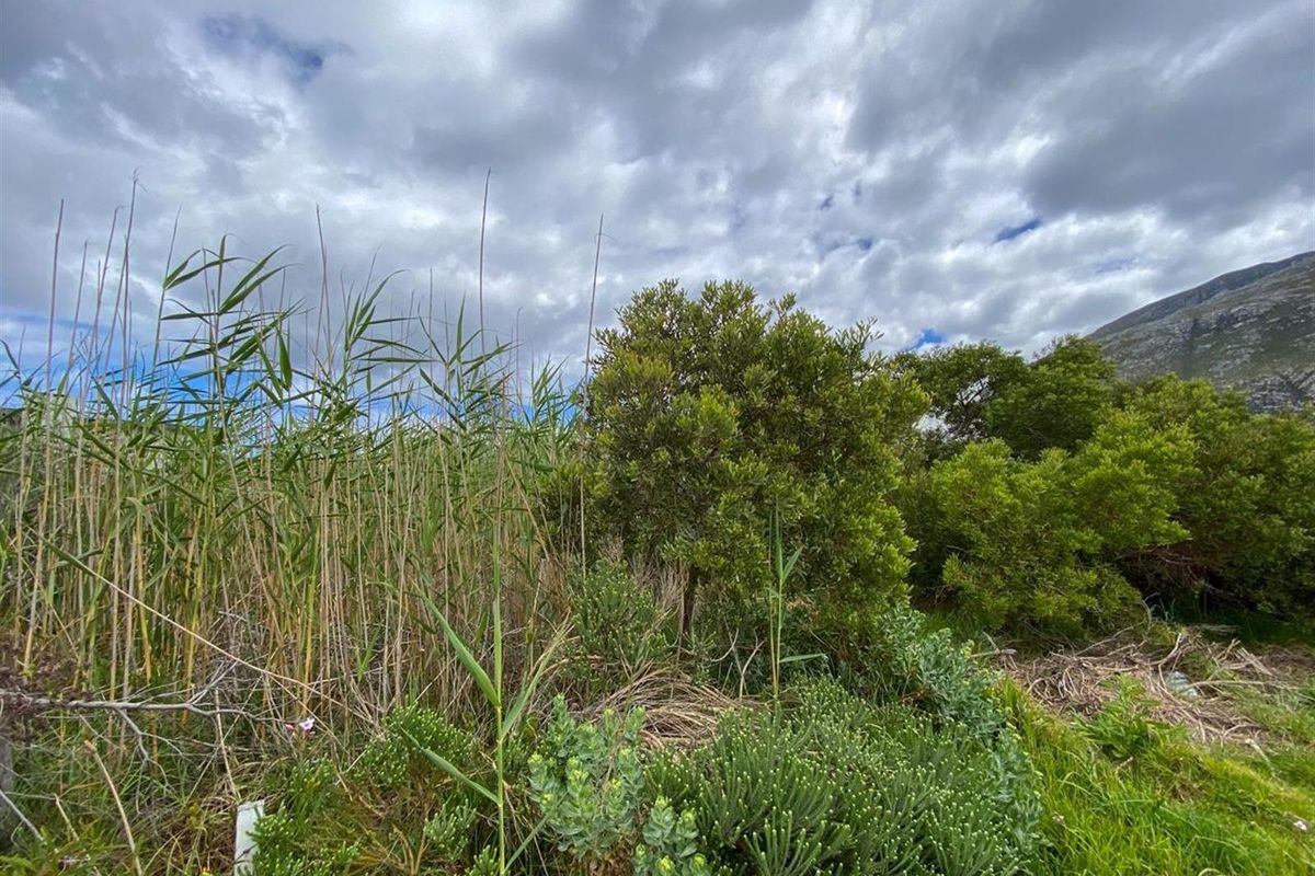 Tranquil Setting, Stunning Scenery - 600m2 Vacant Stand in Betty’s Bay - Photo 3