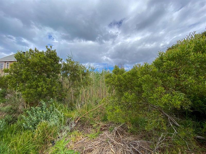 Tranquil Setting, Stunning Scenery - 600m2 Vacant Stand in Betty’s Bay - Photo 2