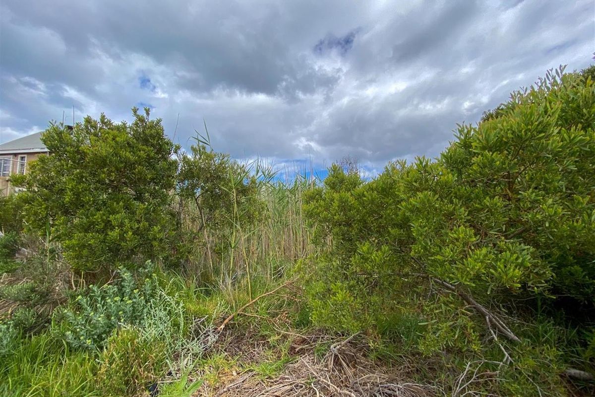 Tranquil Setting, Stunning Scenery - 600m2 Vacant Stand in Betty’s Bay - Photo 2