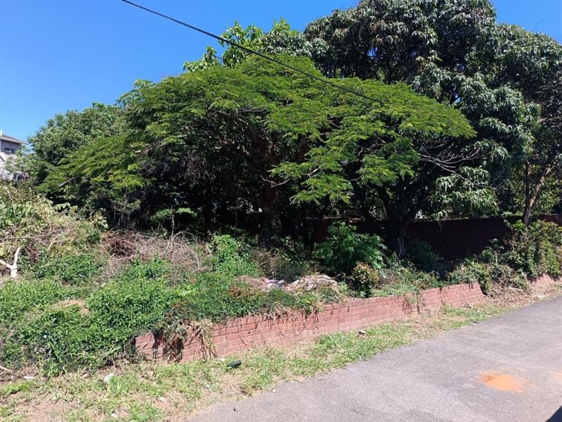 "Where land whispers possibility - Where ideas take root and soar" - Photo 3