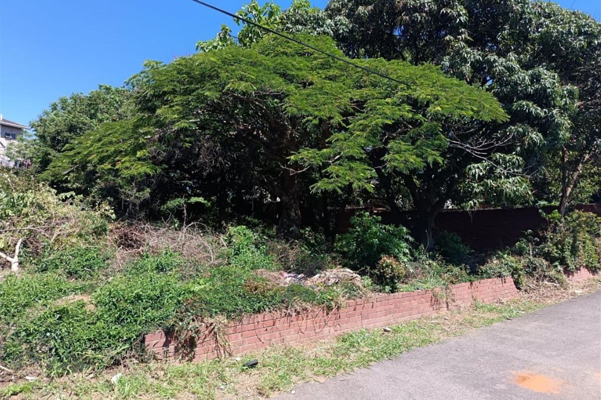 "Where land whispers possibility - Where ideas take root and soar" - Photo 3