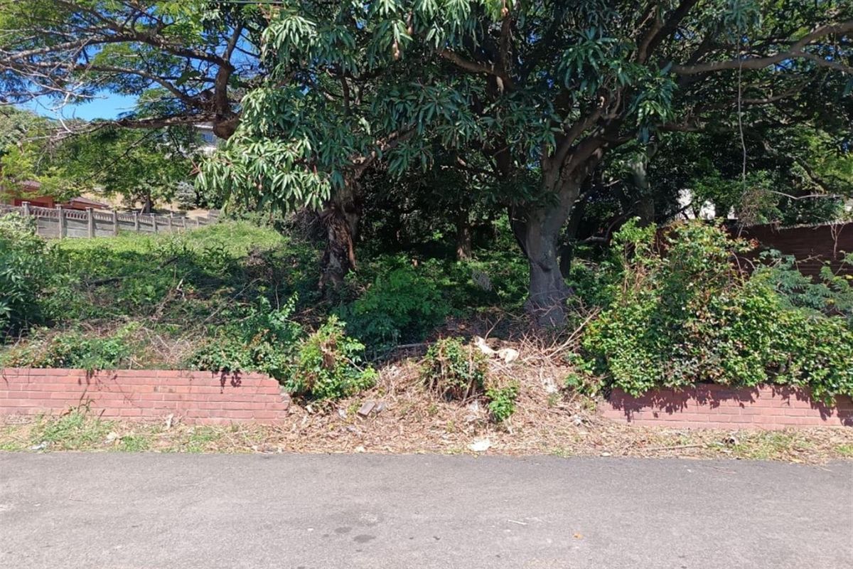 "Where land whispers possibility - Where ideas take root and soar" - Photo 4