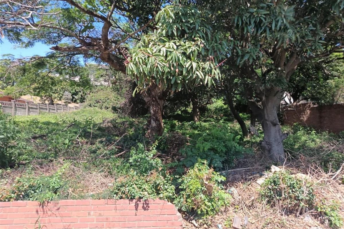 "Where land whispers possibility - Where ideas take root and soar" - Photo 2