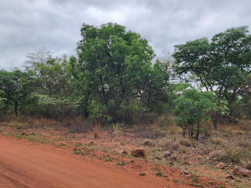 A view of the vacant residential land featuring natural vegetation and trees, accessible via an unpaved dirt road.