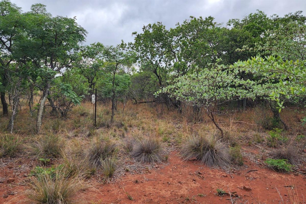A view of the vacant residential land featuring natural vegetation, indigenous trees, and native grasses on a red soil base.
