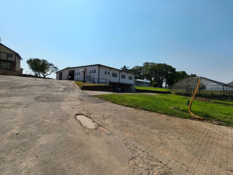 27Ha Vacant Land close to University Of Mpumalanga - Photo 6