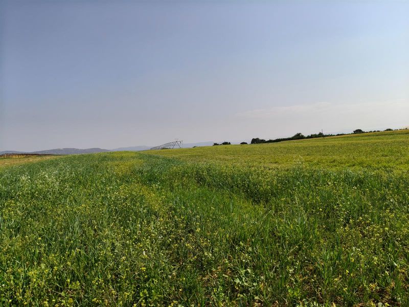 27Ha Vacant Land close to University Of Mpumalanga - Photo 2