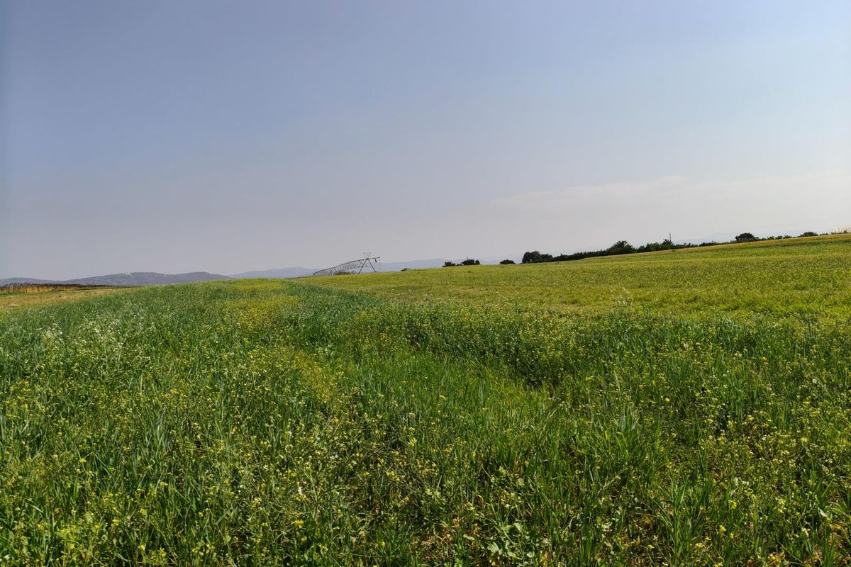 27Ha Vacant Land close to University Of Mpumalanga - Photo 2