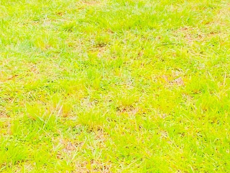 Site for sale in Vulintaba country estate - Photo 5