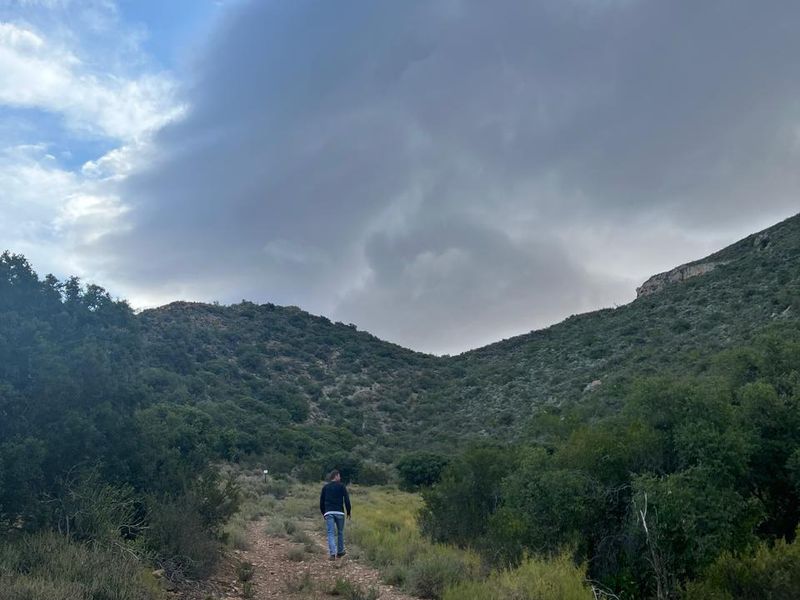 Vacant Land For Sale in Ladismith Rural, Ladismith - Photo 4